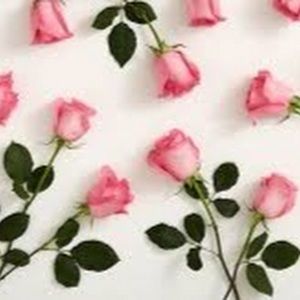 Meet your Posher, Jleah